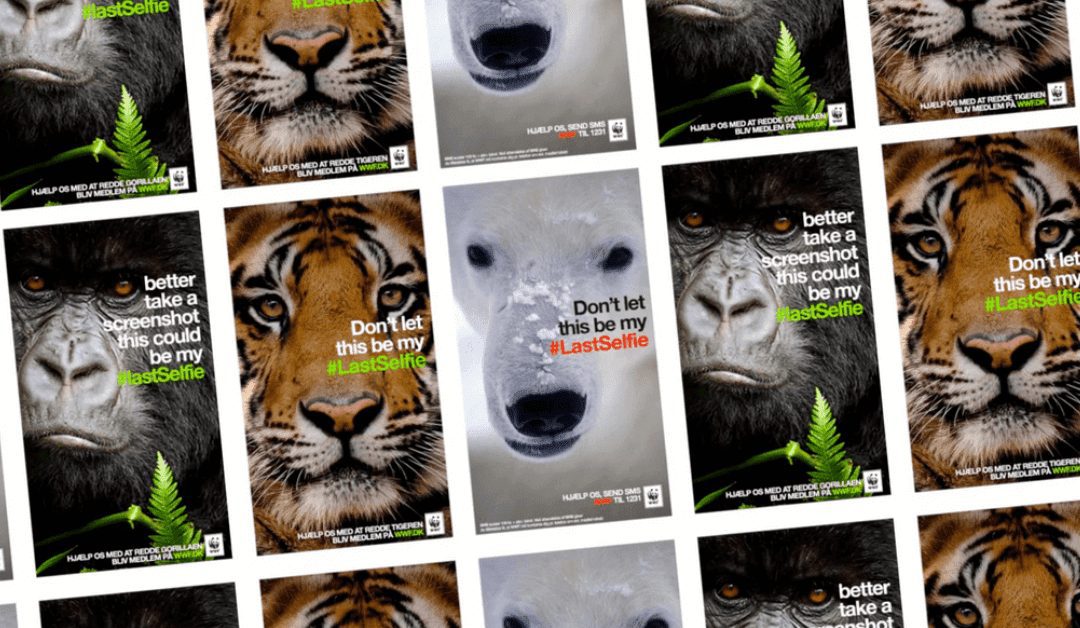 #LastSelfie: WWF’s Brilliant Snapchat Campaign