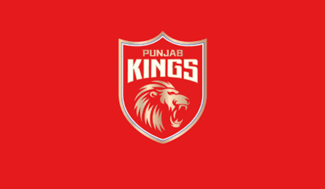 What are netizens saying about Punjab Kings?